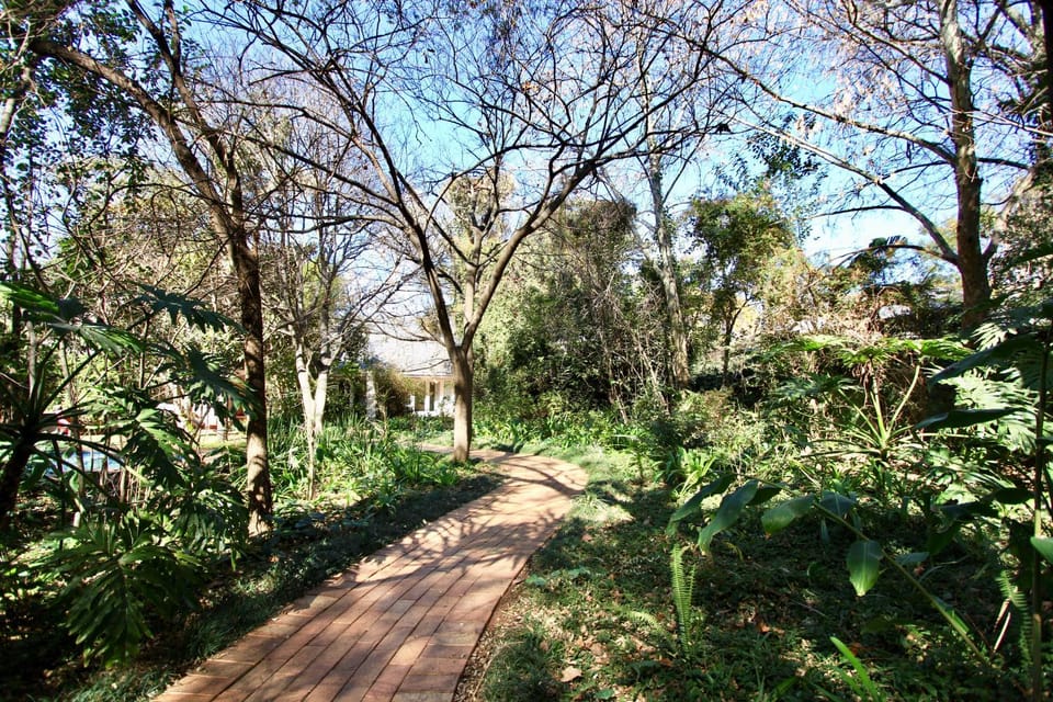 Natural landscape, Garden, Garden view