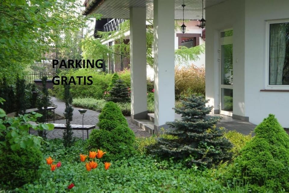 Spring, Garden, Garden view