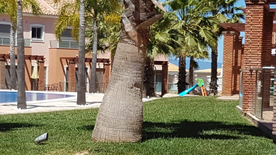 Children play ground, Garden, Swimming pool