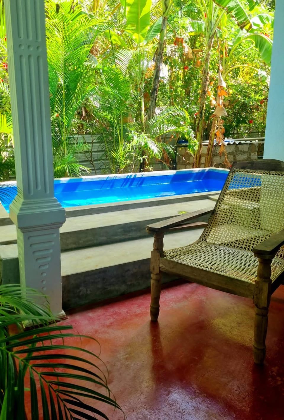 Garden, Garden view, Pool view, Swimming pool