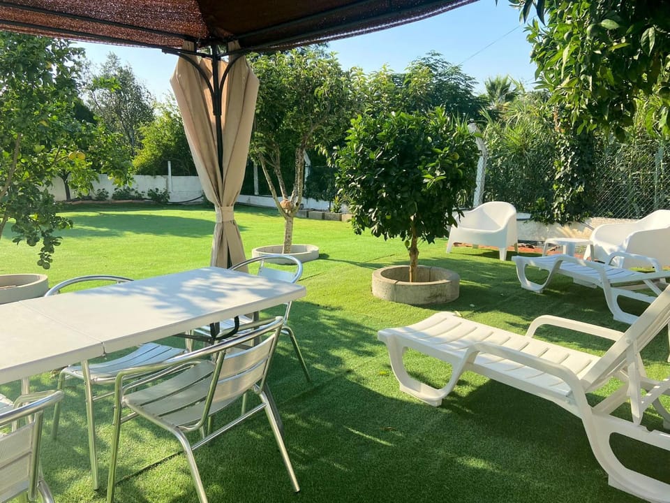 Patio, Garden
