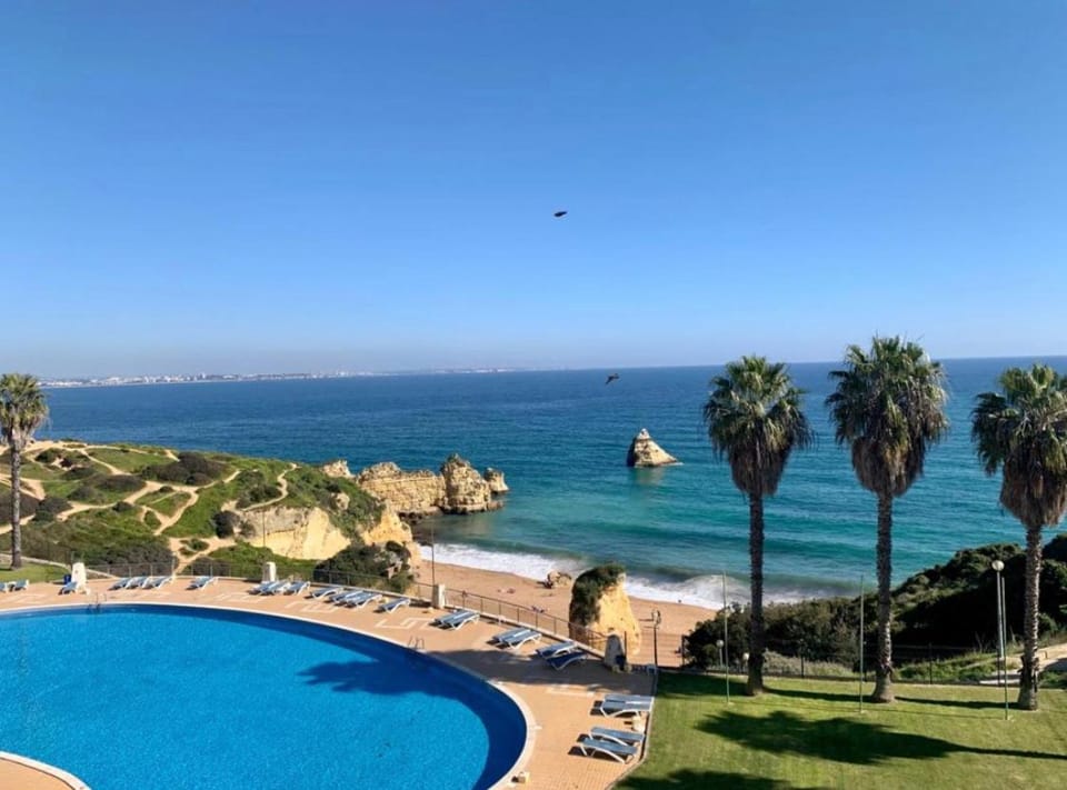Pool view, Swimming pool, Swimming pool
