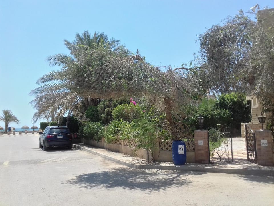 Facade/entrance, Neighbourhood, Garden, Garden, Beach, On site, Garden view, Sea view, Quiet street view