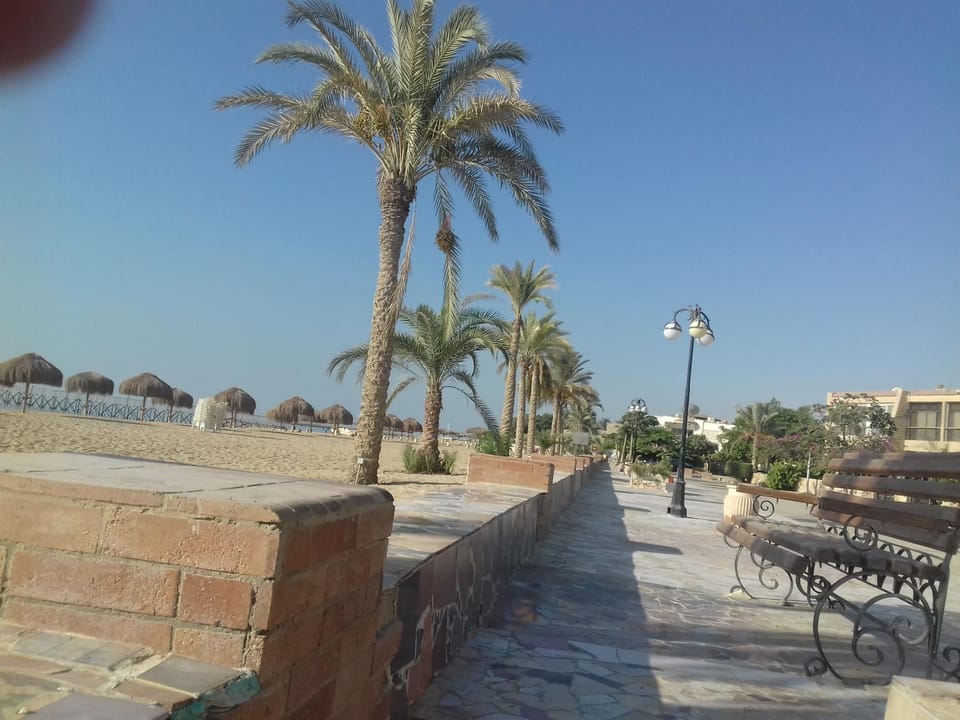 Beach, On site