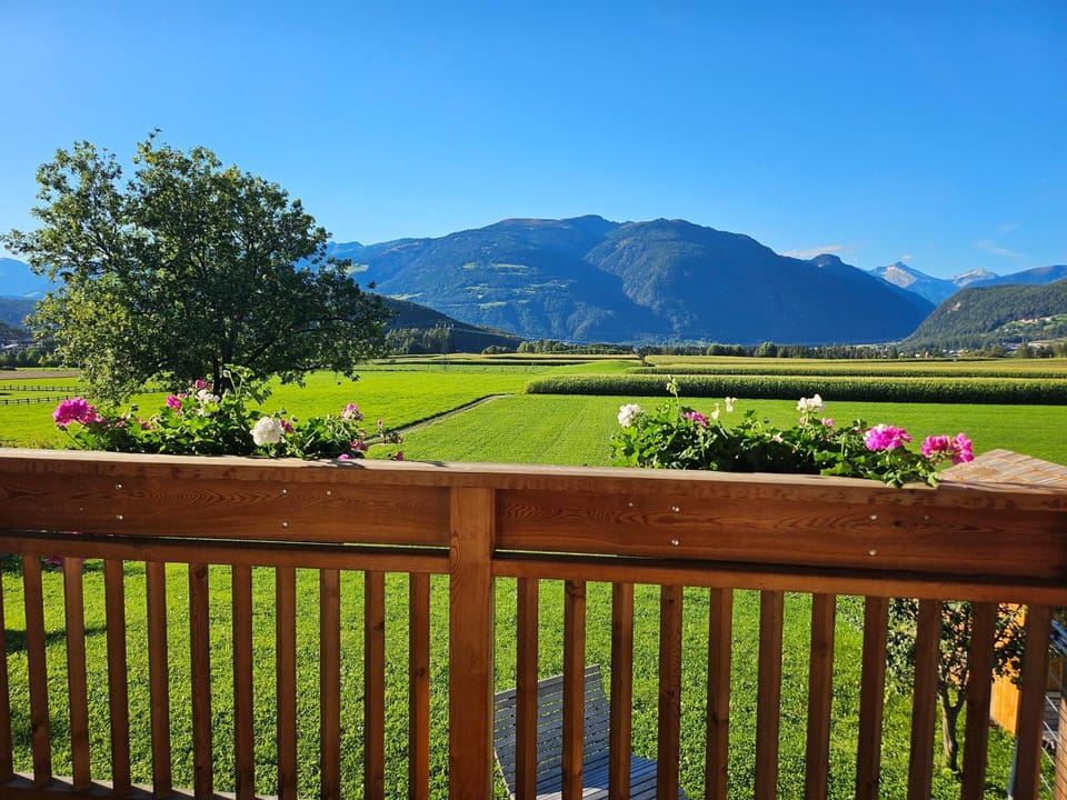 Balcony/Terrace, Garden view