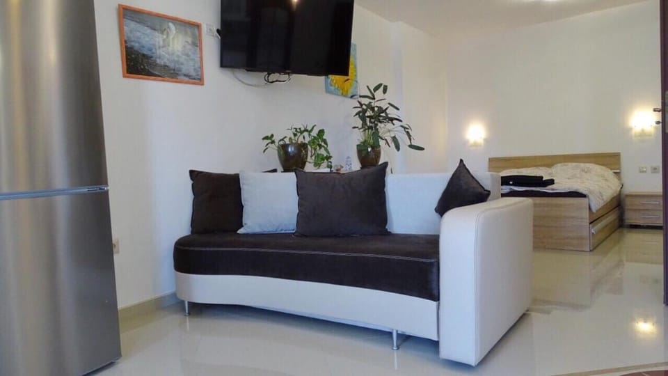 Bed, TV and multimedia, Seating area