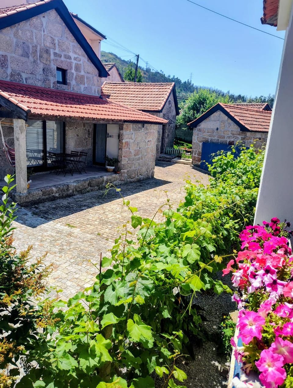 View (from property/room)