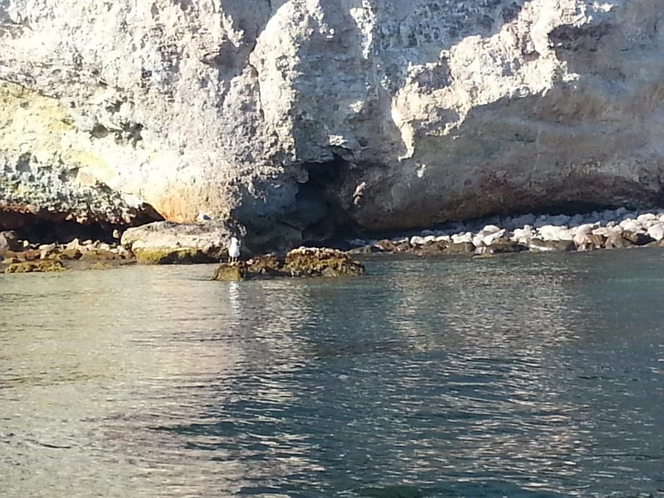 Nearby landmark, Natural landscape