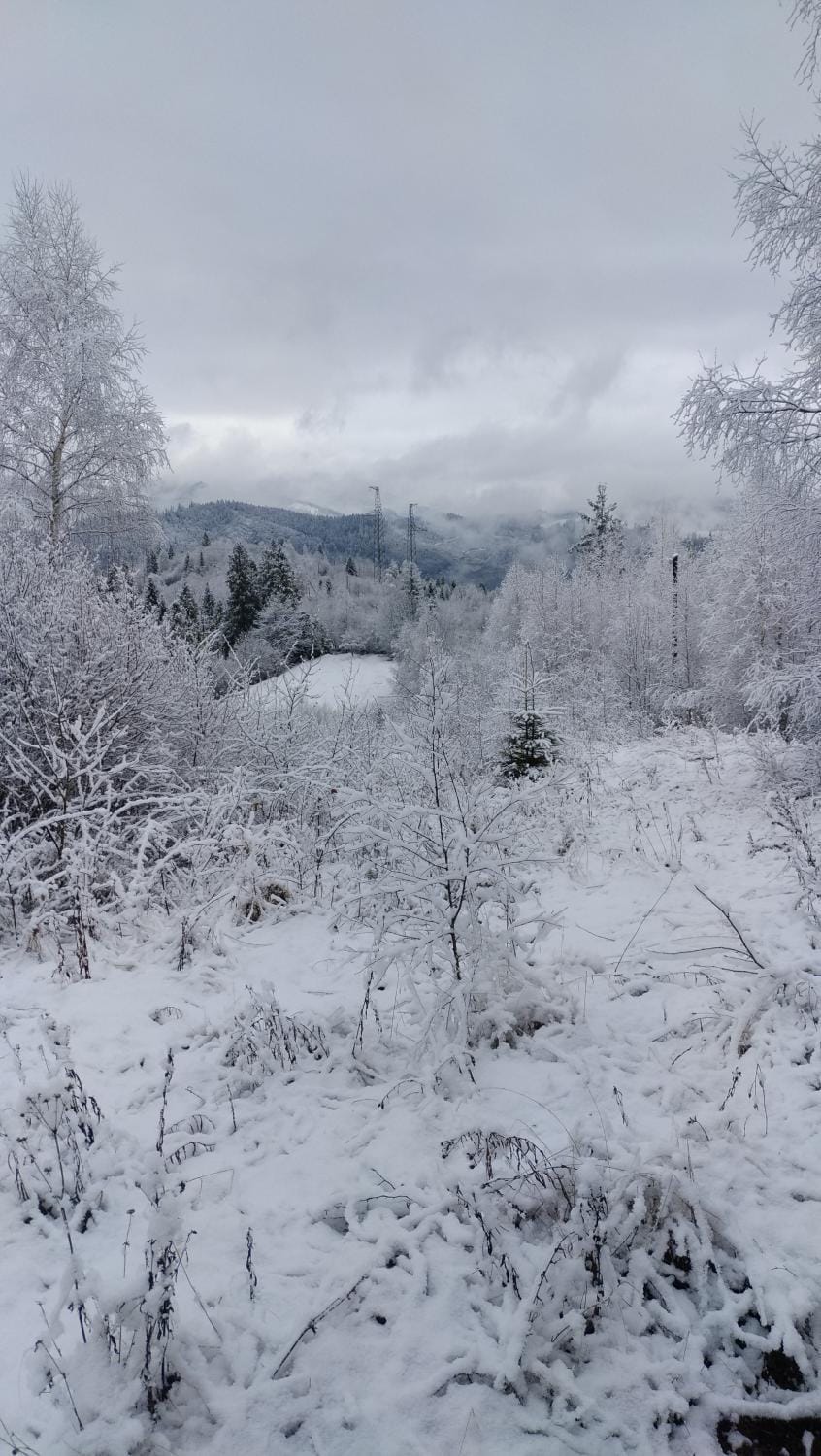 Winter