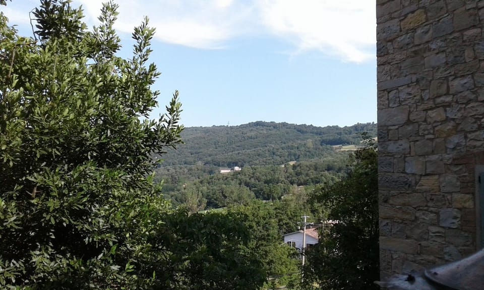 View (from property/room)