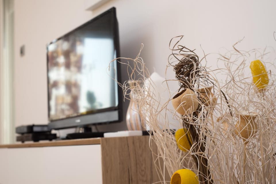 TV and multimedia