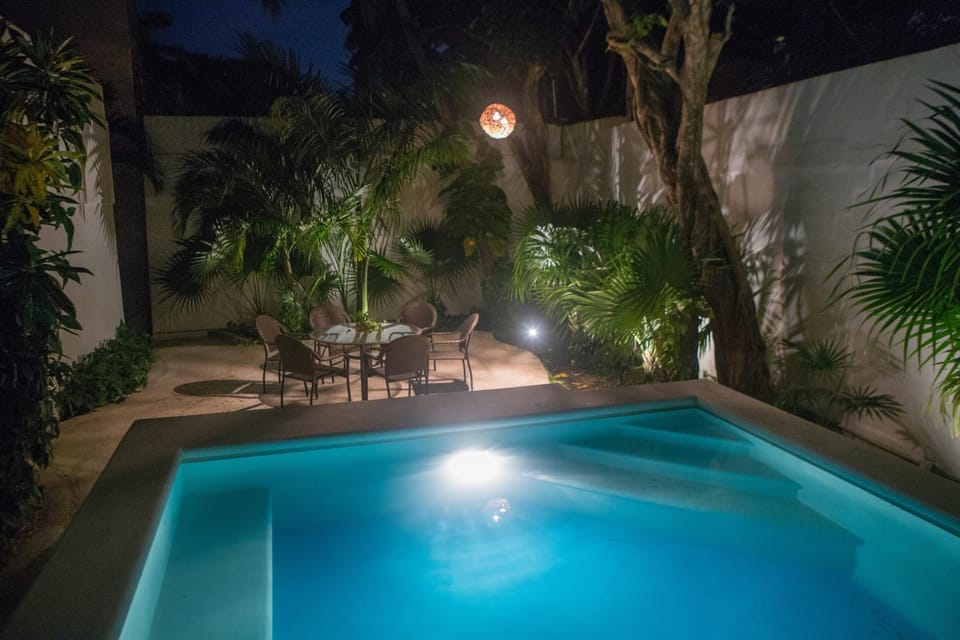 Night, Garden, Swimming pool