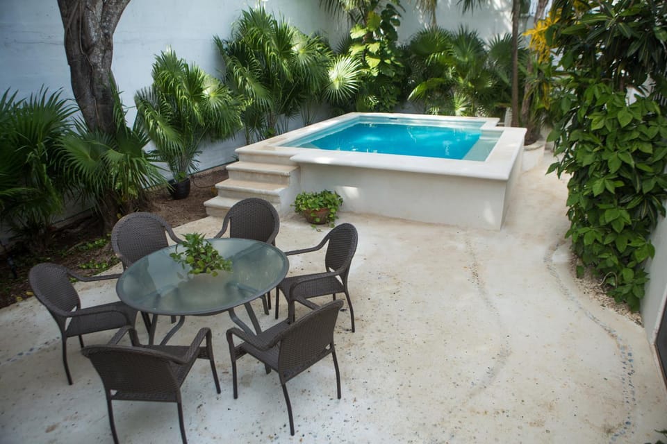 Patio, Day, Night, Garden, Lounge or bar, Swimming pool