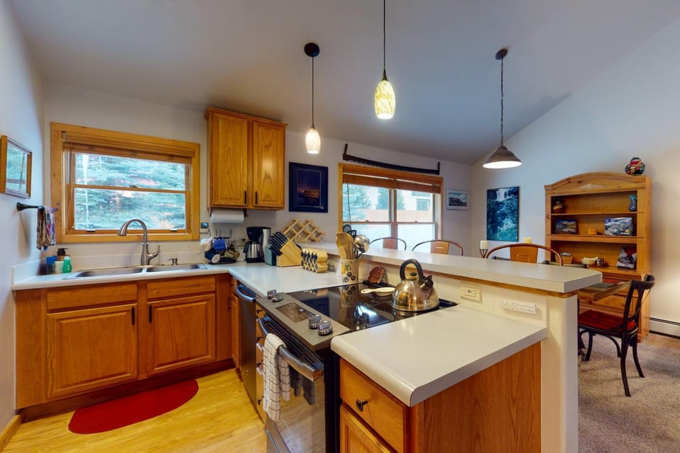 Snake River Village Apartment in Keystone