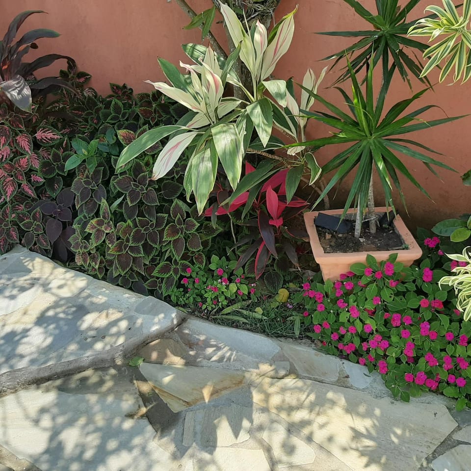 Property building, Garden