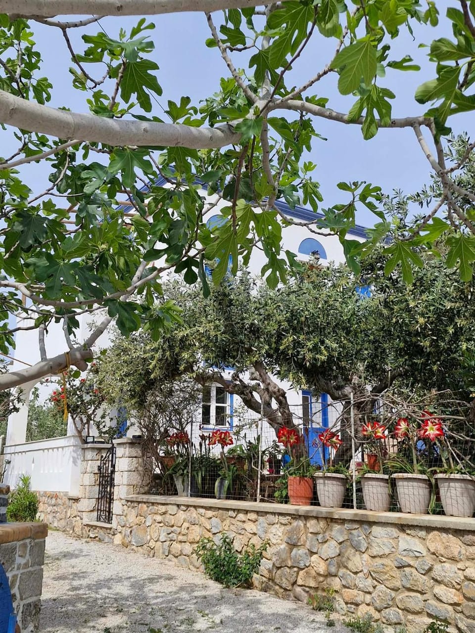 Petroula Apartments Apartment in Kalymnos