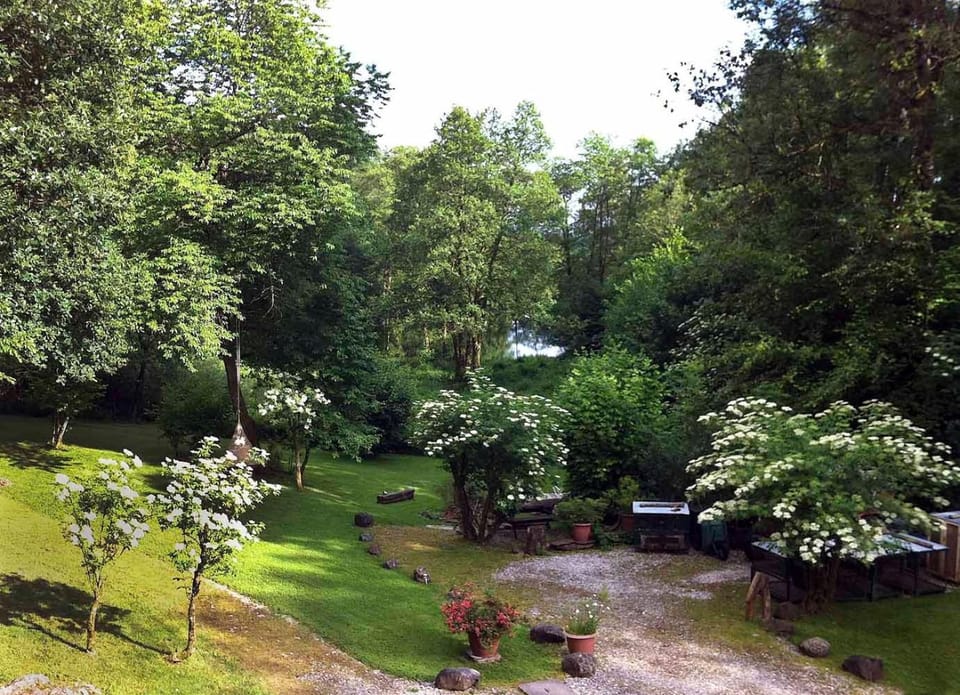 Garden, Garden view, Lake view