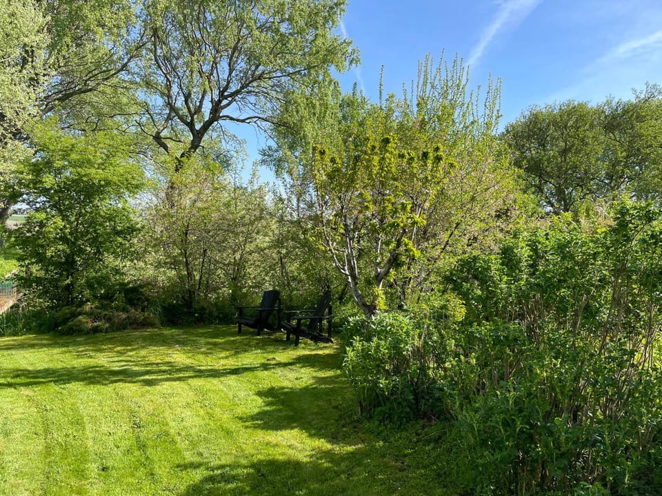 Spring, Garden view