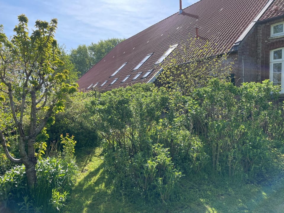 Property building, Spring, Garden