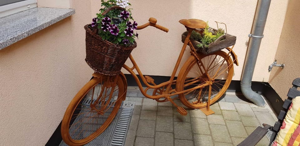 Ferienwohnungen _ Haus Lisa_ Apartment in Senftenberg