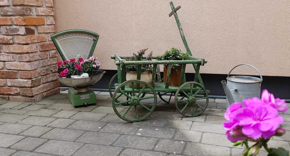 Ferienwohnungen _ Haus Lisa_ Apartment in Senftenberg