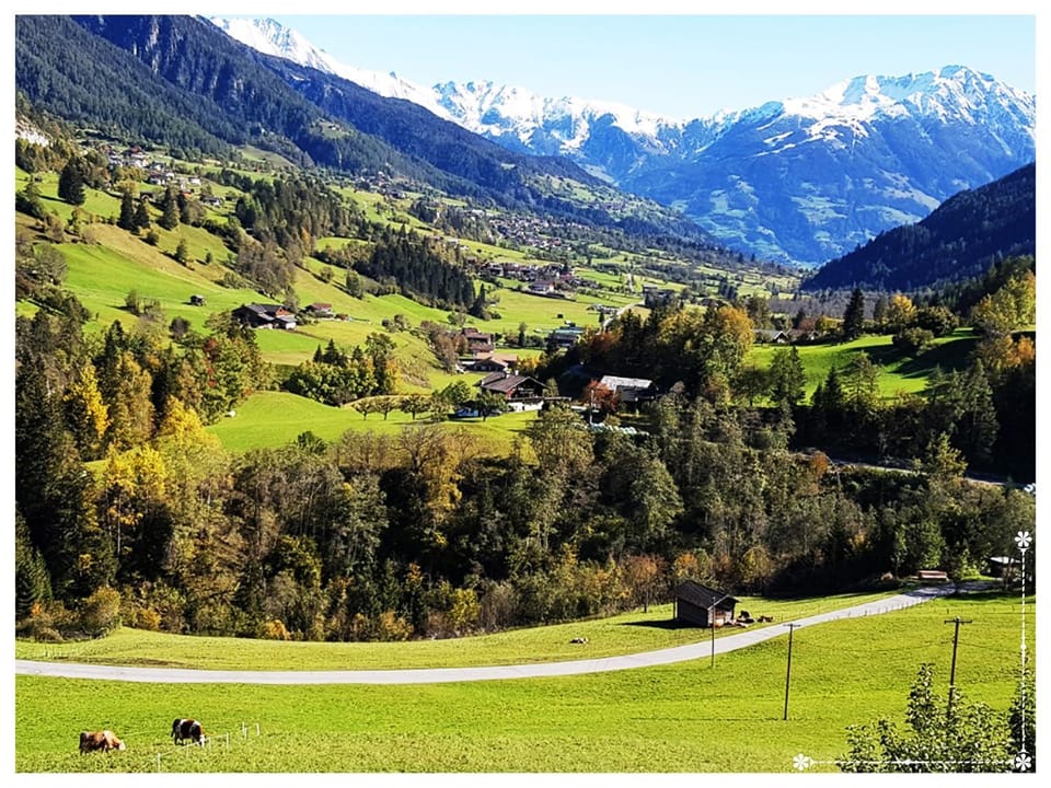 View (from property/room)