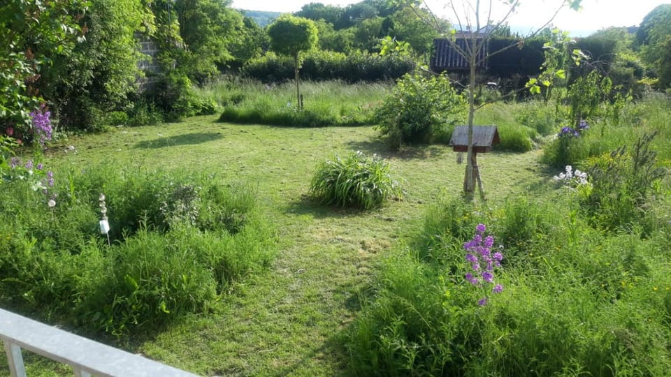 Spring, Garden view