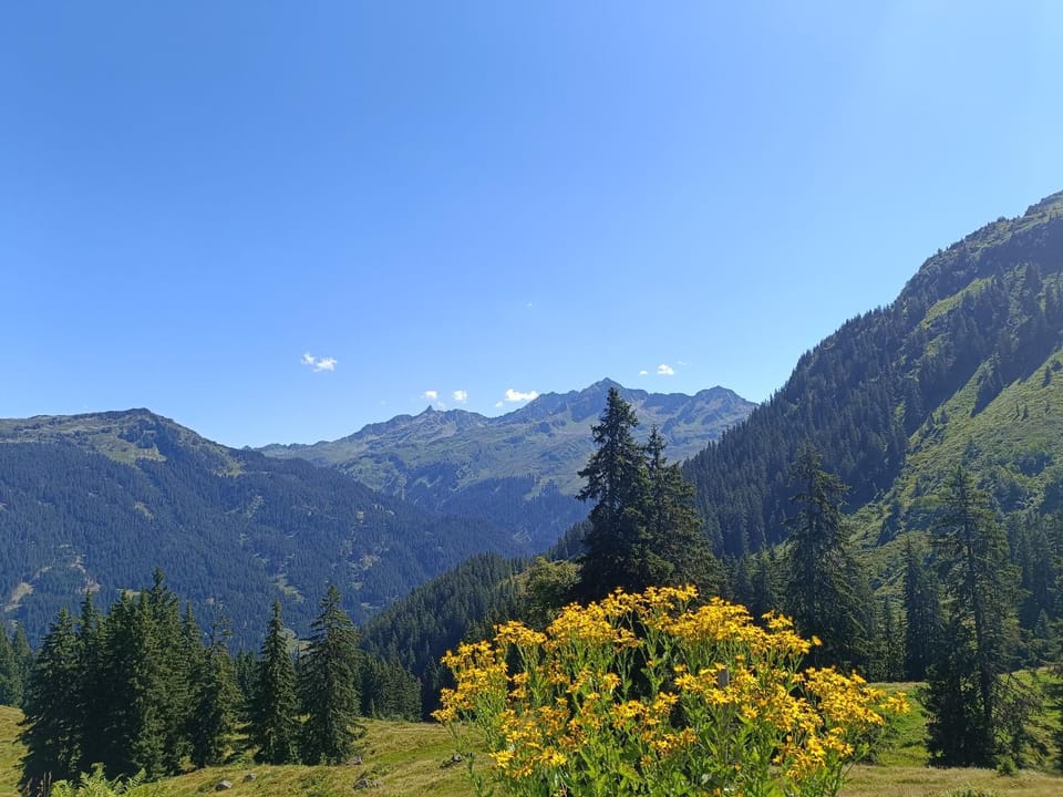 Natural landscape, Hiking, Hiking