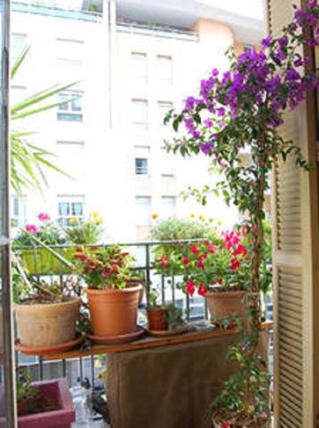 Nissa la Bella Apartment in Nice