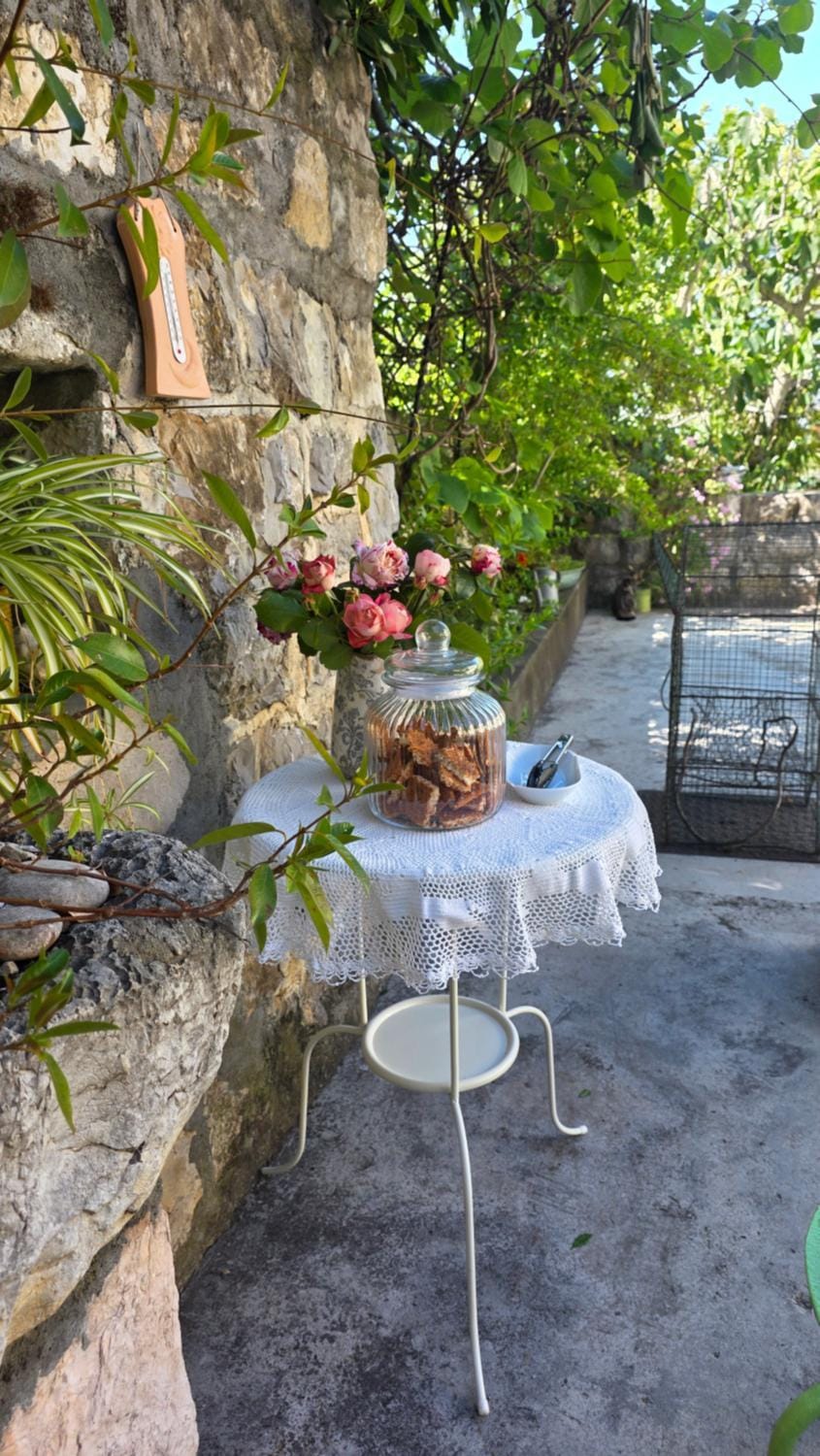 Spring, Day, Garden, Dining area, Garden view