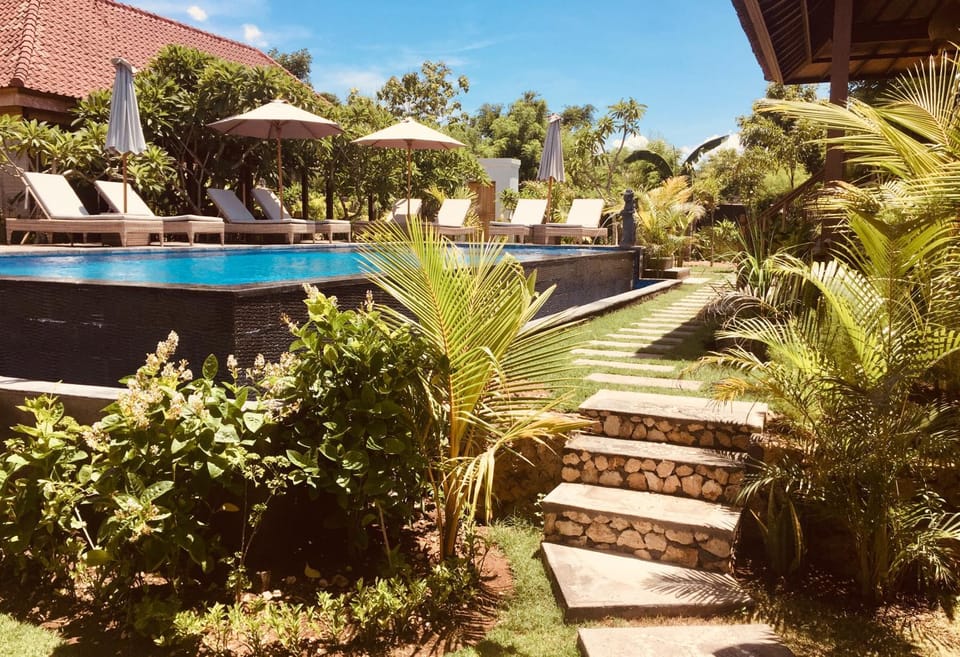 Pool view, Swimming pool