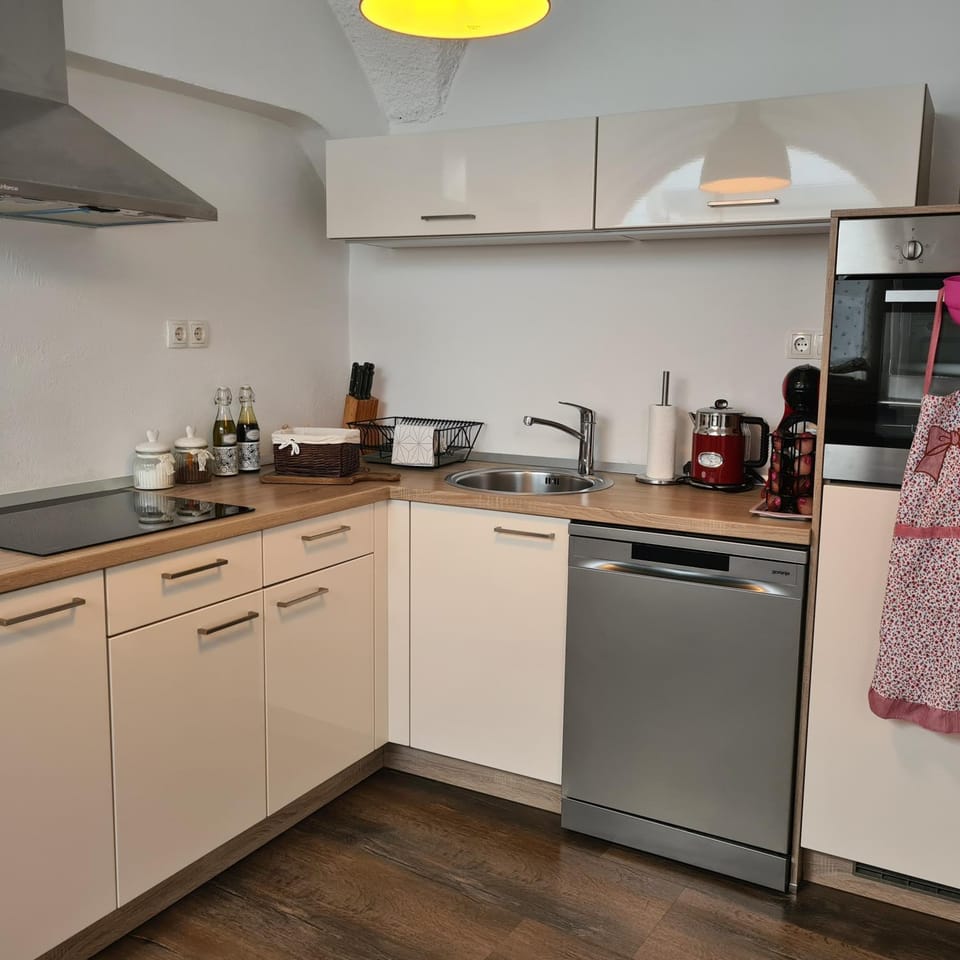 Kitchen or kitchenette, dishwasher, pet friendly, stove, stove