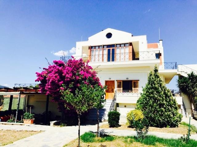 Property building, Facade/entrance, Garden