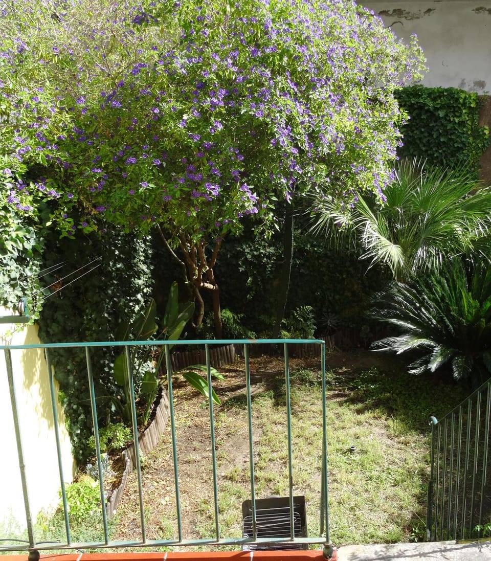 Garden, Garden view