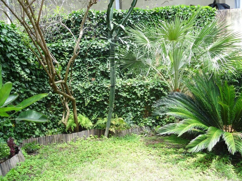 Garden, Garden view