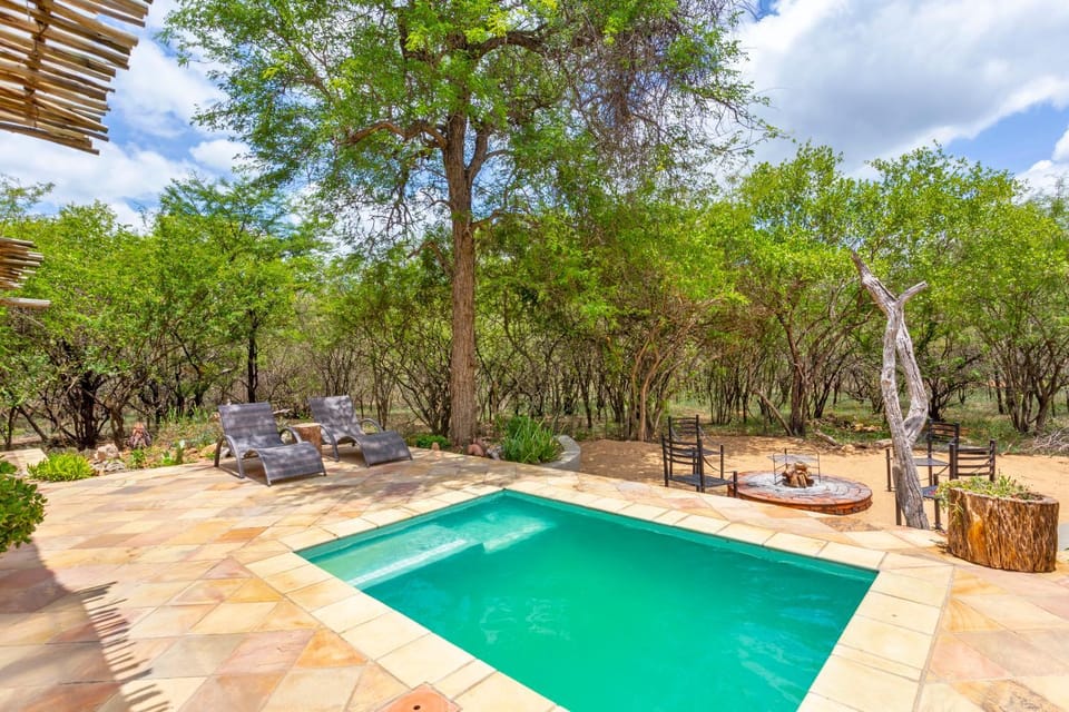 Spring, Natural landscape, Garden, Garden view, Pool view, Swimming pool, sunbed