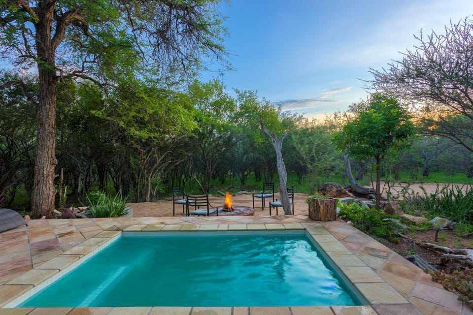Natural landscape, Garden, Garden view, Pool view, Swimming pool, sunbed
