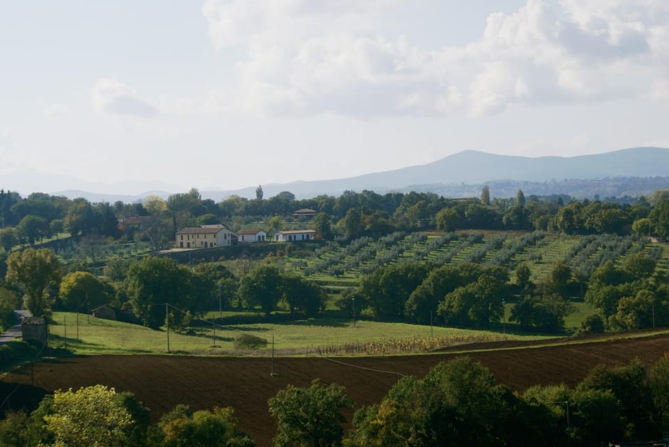 Mountain view