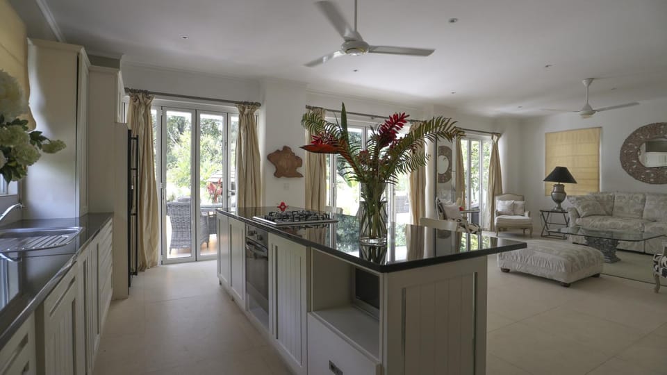 Kitchen or kitchenette, Living room, Seating area, Dining area, fireplace