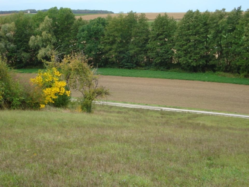 Natural landscape