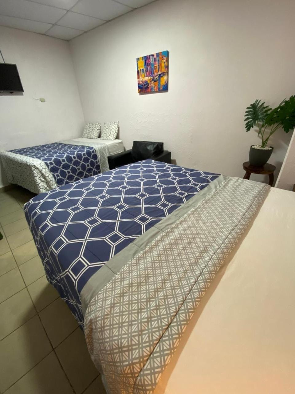 Bed, TV and multimedia, Photo of the whole room