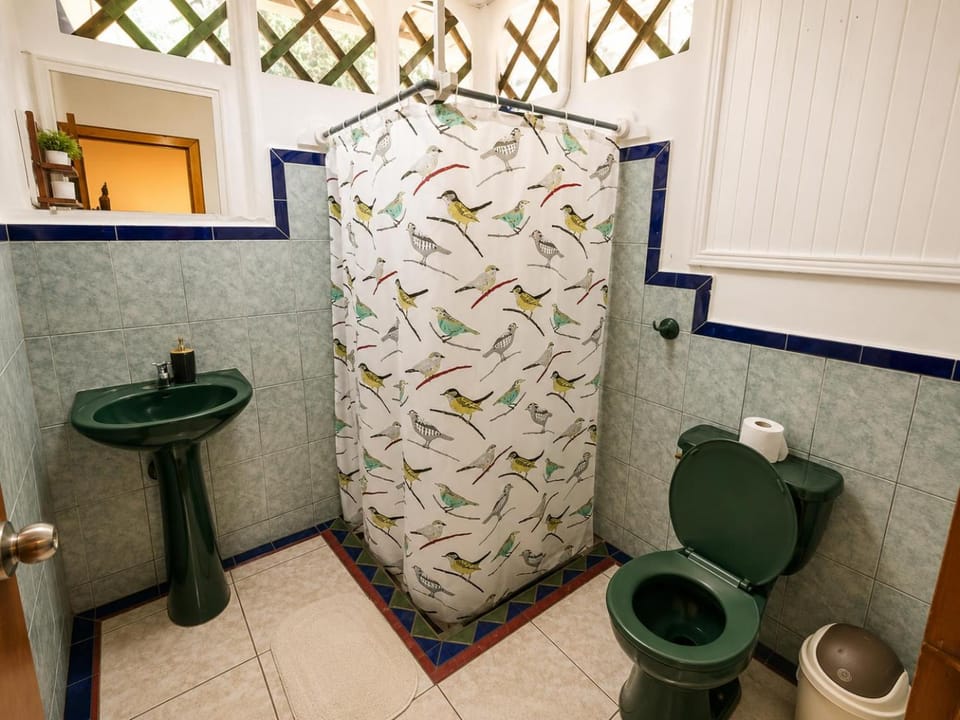 Shower, Toilet, Bathroom, TV and multimedia