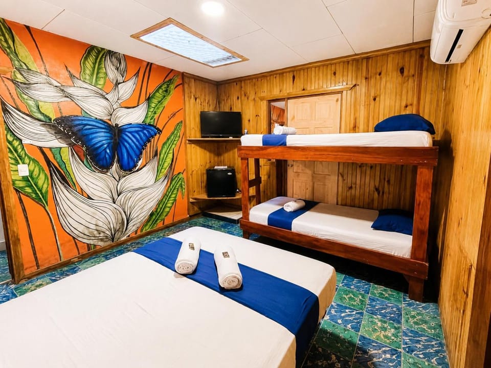 Bed, TV and multimedia, bunk bed