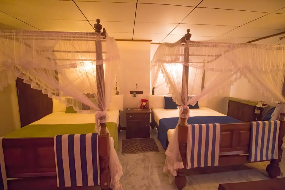 Bed, Photo of the whole room, Seating area, Bedroom