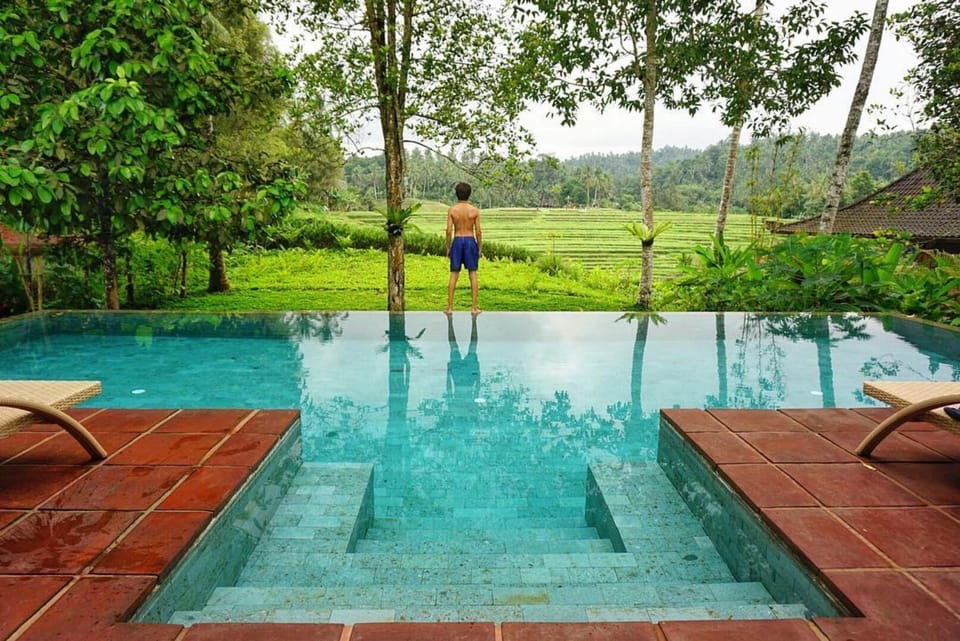 Natural landscape, View (from property/room), Pool view, Swimming pool