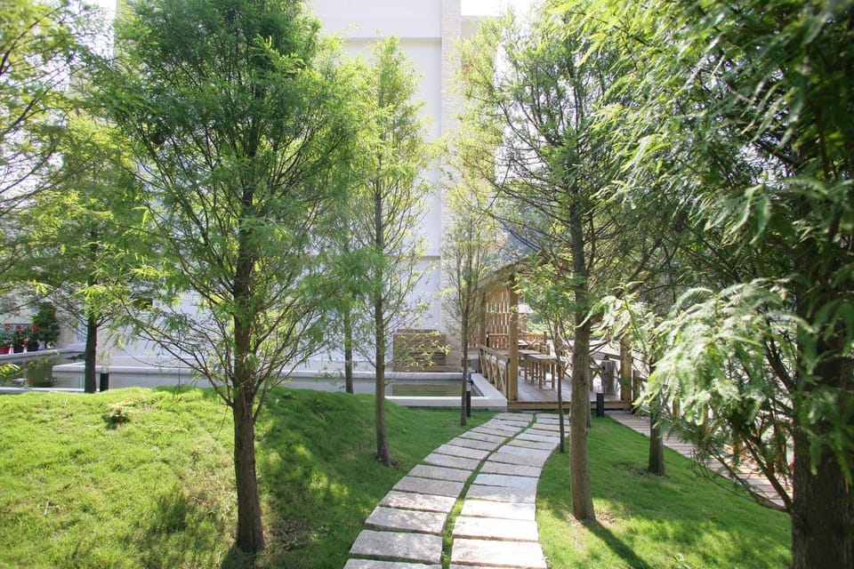 Garden view