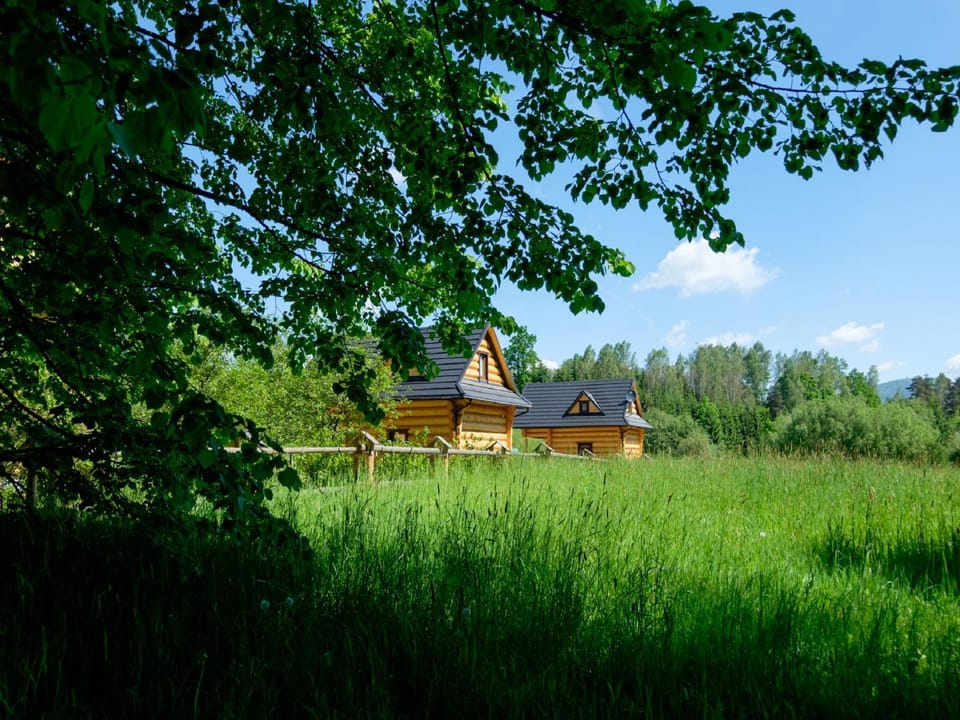 Property building, On site, Area and facilities