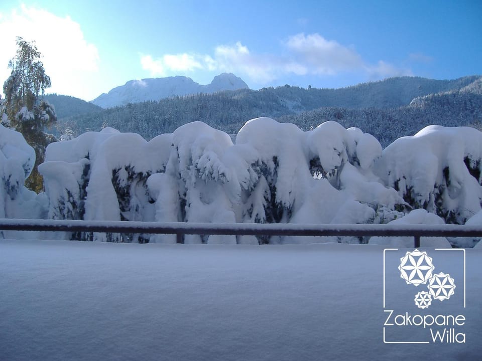 Winter, Balcony/Terrace, Mountain view