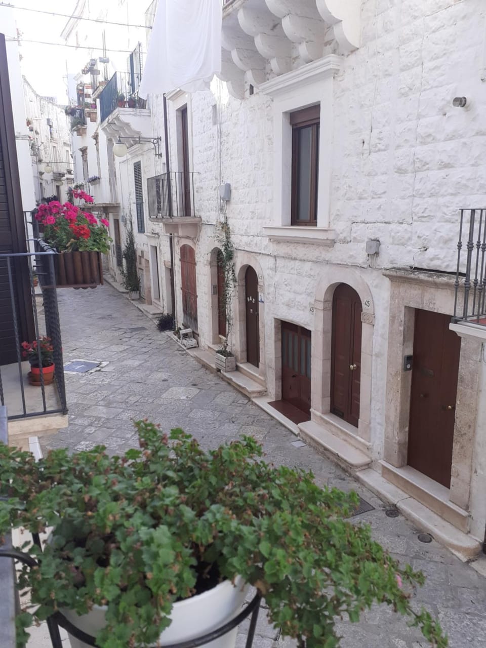 Property building, Day, Neighbourhood, Street view