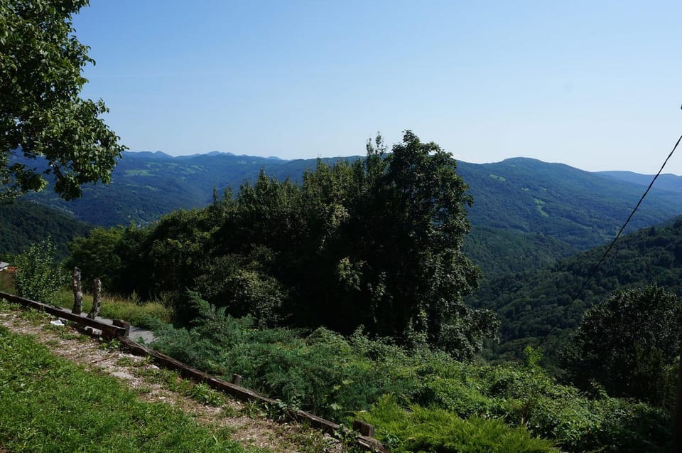 Mountain view